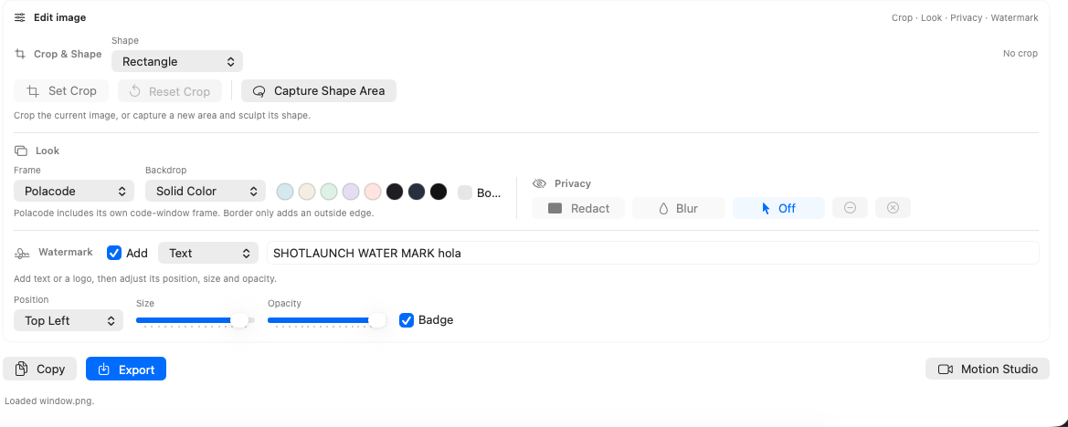ShotLaunch editor showing crop, appearance, privacy and watermark controls